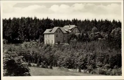 Ak Benneckenstein Oberharz, Hotel Waldhaus, Wald