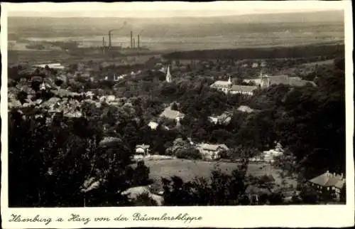 Ak Ilsenburg im Harz, Panorama von der Bäumlersklippe