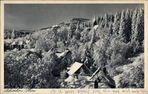 Ak Schierke Wernigerode im Harz, Häuser, Bäume, Winter