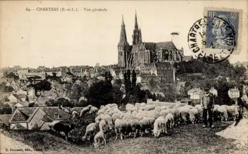 Ak Chartres Eure et Loir, Gesamtansicht, Kirche, Schafherde