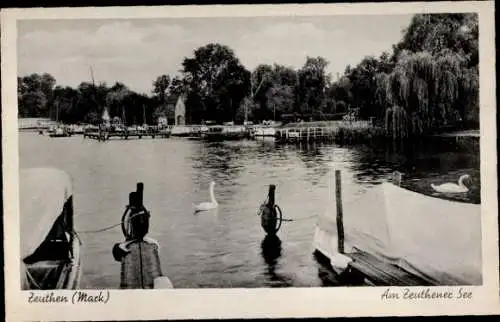 Ak Zeuthen in der Mark, Am Zeuthener See