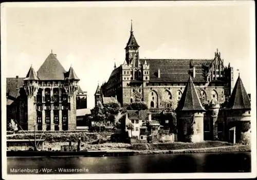 Ak Malbork Marienburg Westpreußen, Westseite, Nogatpartie