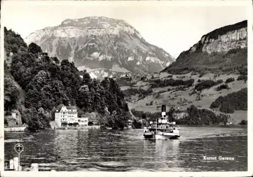 Ak Gersau Kanton Schwyz, Hotel Seehof, Dampfer