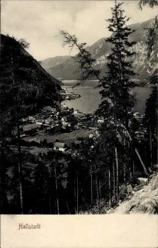 Ak Hallstatt im Salzkammergut Oberösterreich, Panorama