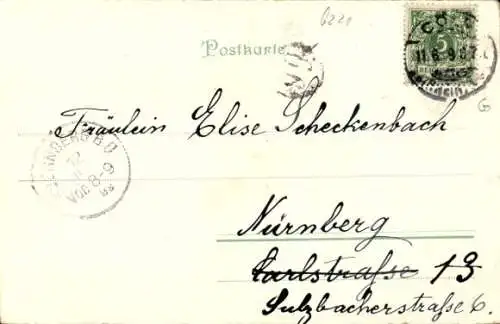 Litho Rüdesheim Rhein, Dampfer, Niederwald National Denkmal, Rheinstein