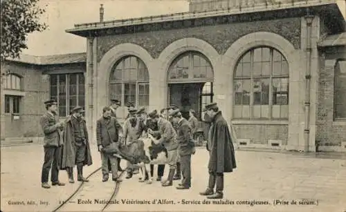 Ak Maisons Alfort Val de Marne, Nationale Veterinärschule, Abteilung für ansteckende Krankheiten