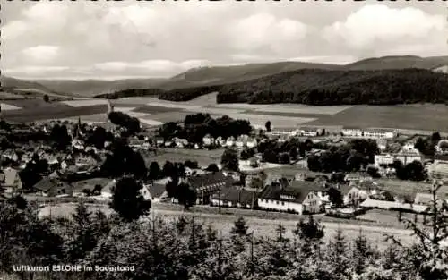 Ak Eslohe im Sauerland, Panorama