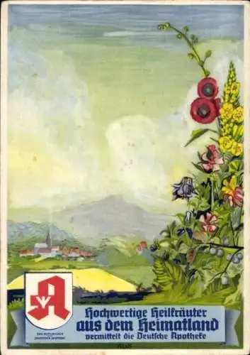 Künstler Ak Heilkräuter, Deutsche Apotheke Werbung, Heilkräuter, Blumen, Panorama eines Orts