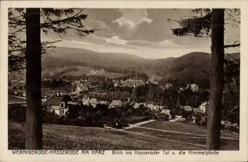 Ak Hasserode Wernigerode im Harz, Hasseroder Tal, Himmelpforte