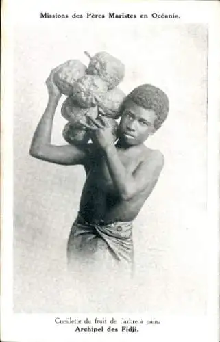 Ak Fidschi, Missionen der Maristenväter, Früchte vom Brotfruchtbaum gepflückt