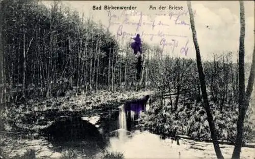 Ak Birkenwerder in Brandenburg, An der Briese