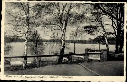 Ak Lehnitz an der Nordbahn Oranienburg, Terrassen-Restaurant Seelöwe