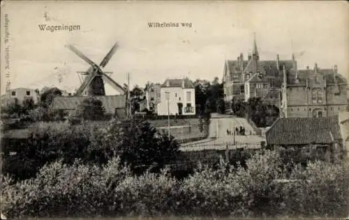 Ak Wageningen Gelderland Niederlande, Wilhelminaweg, Windmühle