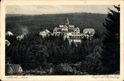 Ak Schierke Wernigerode im Harz, Blick auf den Barenberg