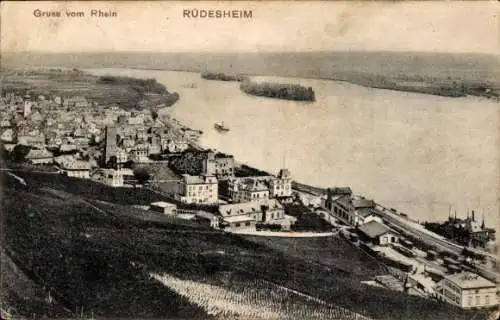 Ak Rüdesheim am Rhein, Ortsansicht