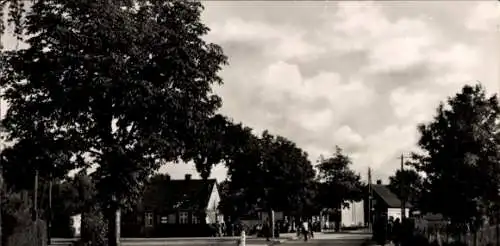 Ak Seeheilbad Zingst an der Ostsee, Karl Marx Platz