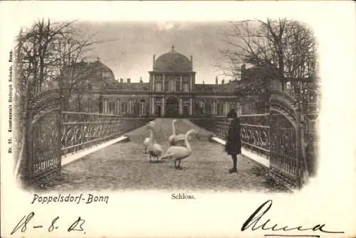 Ak Poppelsdorf Bonn am Rhein, Schloss, Schwäne, Kind