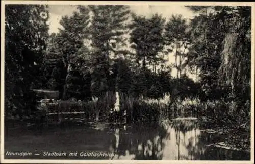 Ak Neuruppin in Brandenburg, Stadtpark mit Goldfischteich