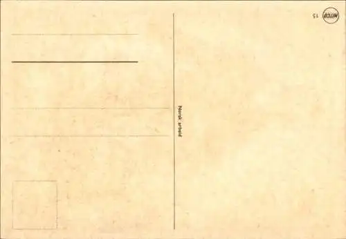 Ak Trachten Norwegen, Telemark