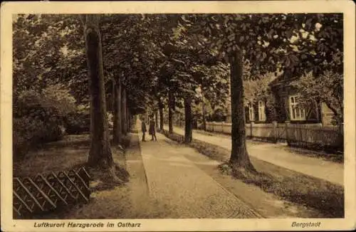 Ak Harzgerode am Harz, Bergstadt