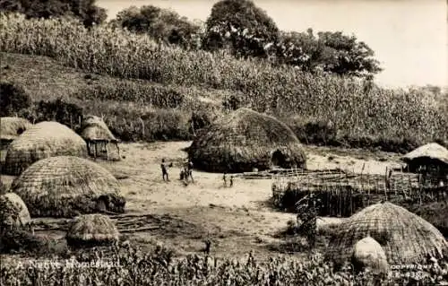 Ak Afrika, A Zulu Homestead