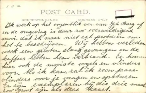 Ak Afrika, A Zulu Homestead