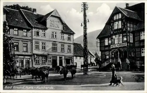 Ak Bad Grund im Harz, Kuhherde, Hotel Kurhaus