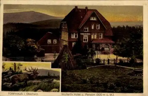 Ak Torfhaus Altenau Schulenberg Clausthal Zellerfeld im Oberharz, Wulfert's Hotel, Röhrender Hirsch