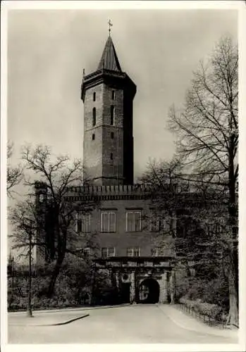 Ak Legnica Liegnitz Schlesien, Schloss