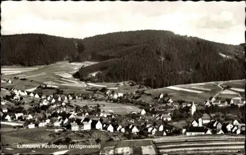 Ak Feudingen Bad Laasphe in Westfalen, Panorama, Wald