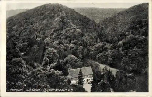 Ak Meisdorf Falkenstein im Harz, Gasthof Zum Falken