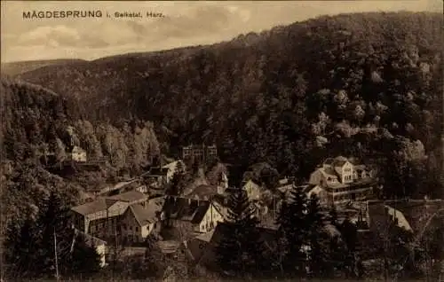 Ak Mägdesprung Harzgerode am Harz, Gesamtansicht