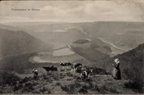 Ak Bürden Erpeldingen an der Sauer Luxembourg, Promontoire