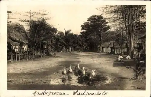 Ak Sadjoavato Madagaskar, Straßenpartie, Gänse in einer Pfütze