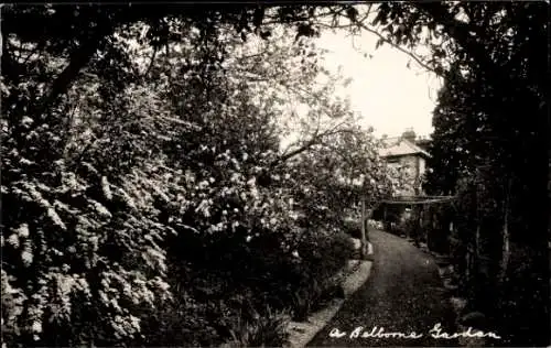 Foto Ak Selborne Hampshire England, Garten