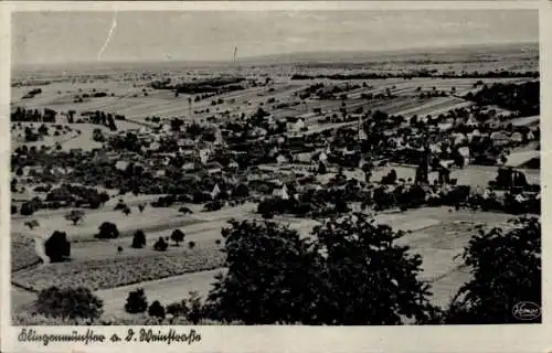 Ak Klingenmünster an der Weinstraße Pfalz, Gesamtansicht