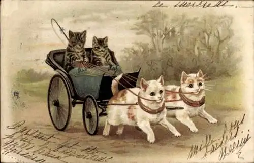 Litho Vermenschlichte Katzen, Kutsche