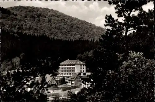 Ak Bad Laasphe in Westfalen, Teilansicht, Häuser, Wald