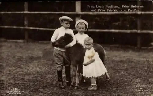 Ak Prinz Louis Ferdinand von Preußen, Prinz Hubertus, Prinz Friedrich, Pony