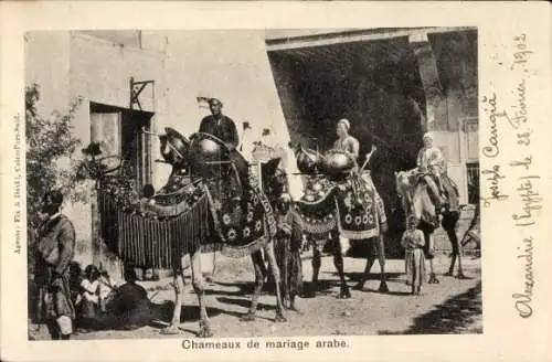 Ak Arabische Hochzeit, Kamele, Maghreb