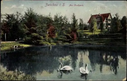 Ak Zwickau in Sachsen, Am Stadtpark, Teichpartie, Schwäne