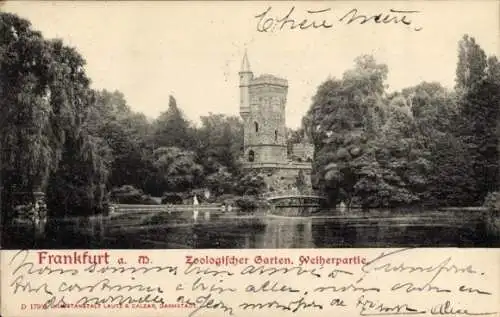 Ak Frankfurt am Main, Zoologischer Garten, Weiher, Turm