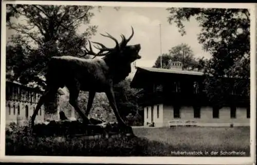 Foto Ak Joachimsthal in der Uckermark Schorfheide, Jagdschloss Hubertusstock, Hirschstandbild