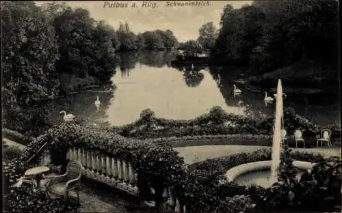 Ak Putbus auf der Insel Rügen, Schwanenteich