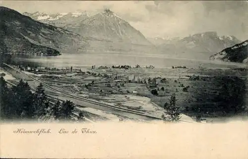 Ak Merlingen am Thunersee Kt. Bern, Blick auf den Thunersee mit Bergen im Hintergrund