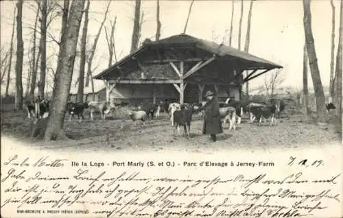 CPA Port Marly Yvelines, Ile la Loge, Parc du Elevage à Jersey Farm