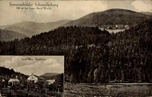 Ak Schneiderberg Lam im Bayerischen Wald Oberpfalz, Gesamtansicht, Seidlsches Anwesen