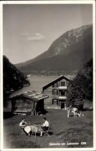 Ak Pertisau Eben am Achensee in Tirol, Partie an der Gaisalm, Kuh, Frau mit Gitarre