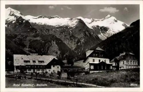 Ak Mallnitz in Kärnten, Hotel Bichelhof