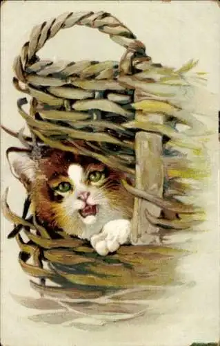 Litho Katze in einem Flechtkorb